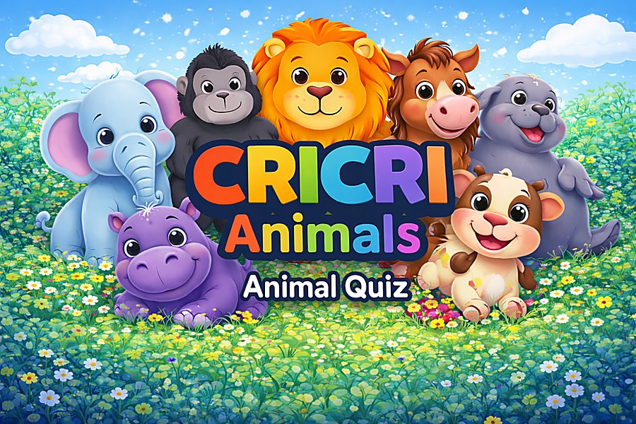 Capture d’écran 1